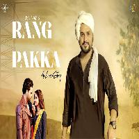 Rang Pakka New Haryanvi Song 2023 By Jsn Namish Poster